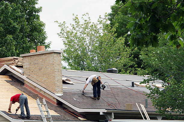 Best Storm Damage Roof Repair  in Amelia, OH